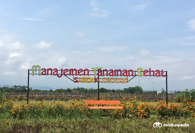 Inovasi Petani Desa Klorogan Ciptakan Taman Bunga Sekaligus Pengendali Hama