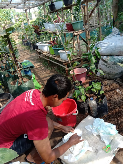 Foto dari arsip Madiunpedia