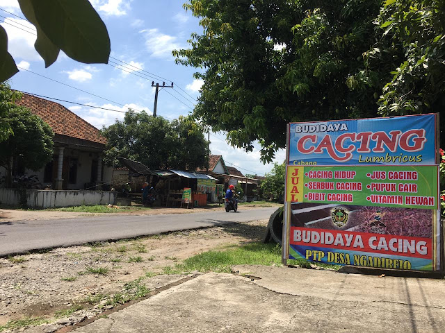 Di-PHK karena Pandemi, Warga Madiun Sukses Budidayakan Cacing