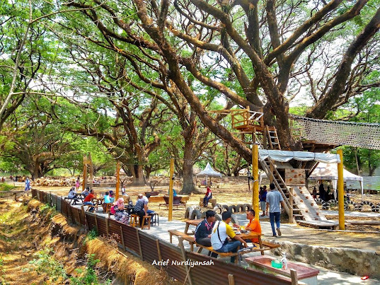 5 Lokasi yang Cocok untuk Foto Buku Tahunan Sekolah 